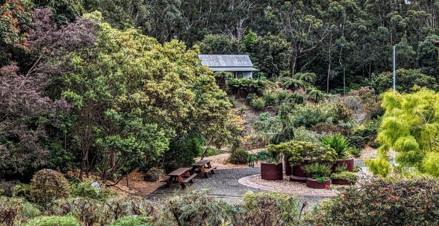 Illawarra Grevillea Park, Bulli, New South Wales, Australia, Australia